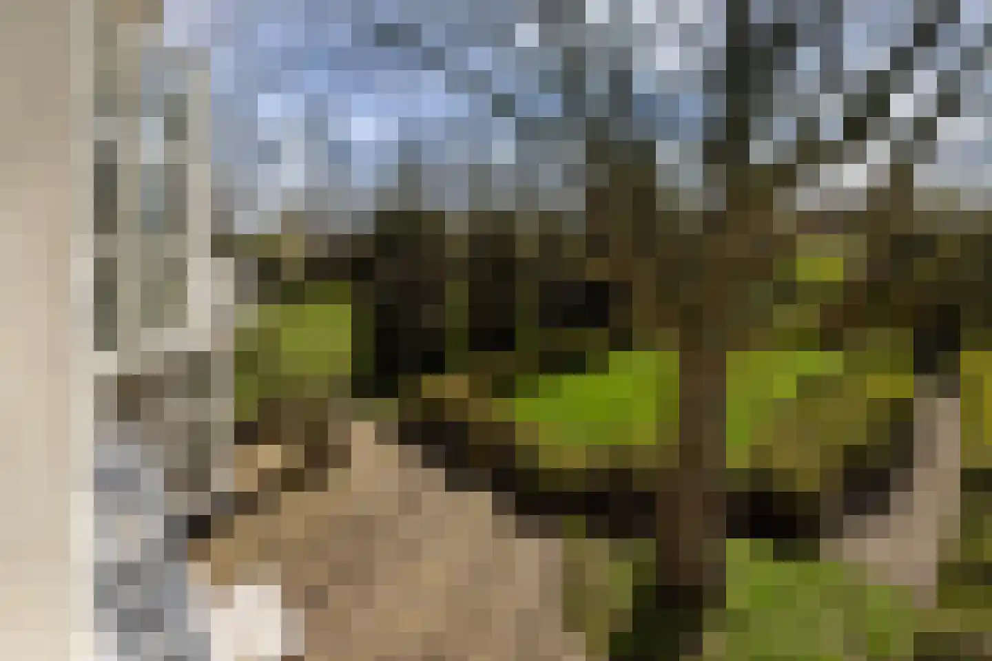 Kerklaan 3 Loenen aan de Vecht thumbnail 38