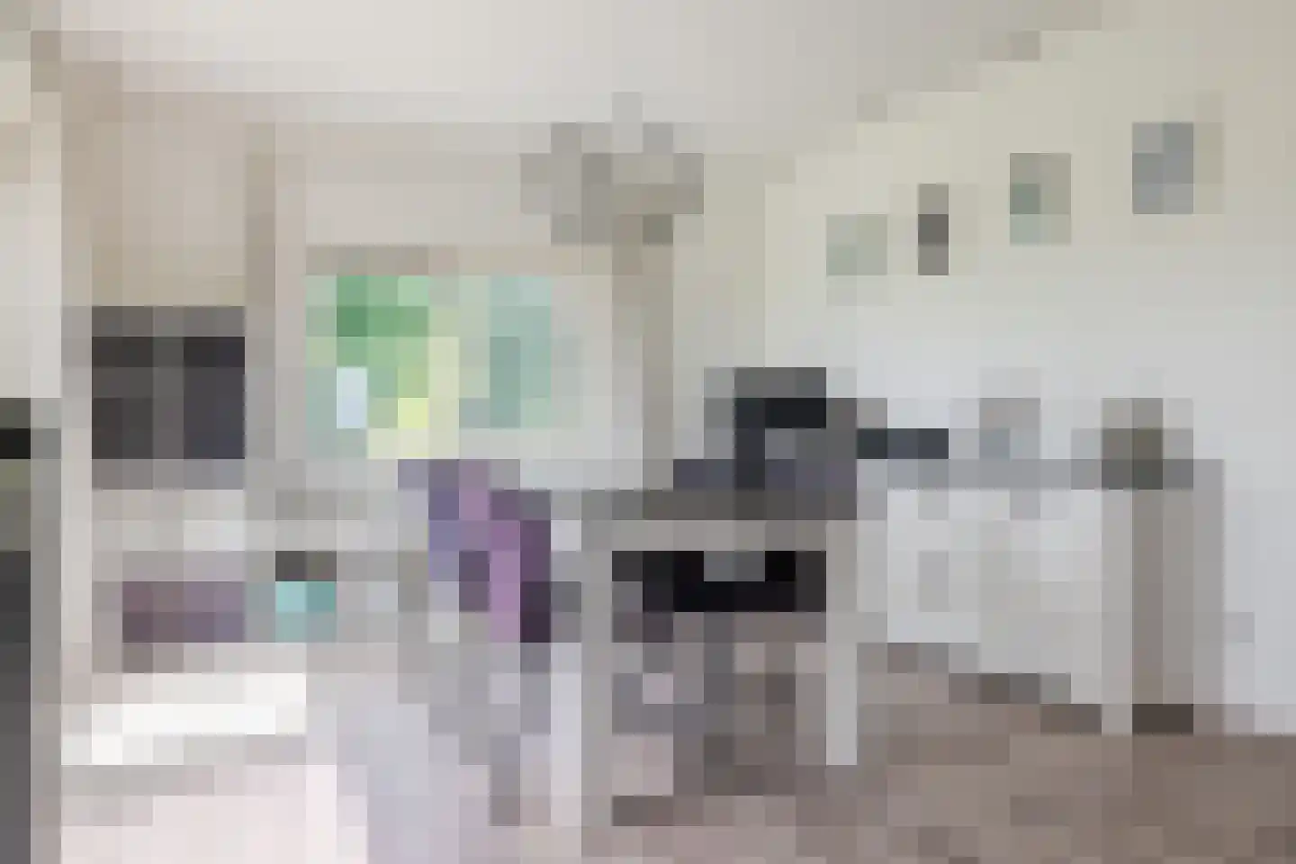 Kerklaan 3 Meedhuizen thumbnail 12