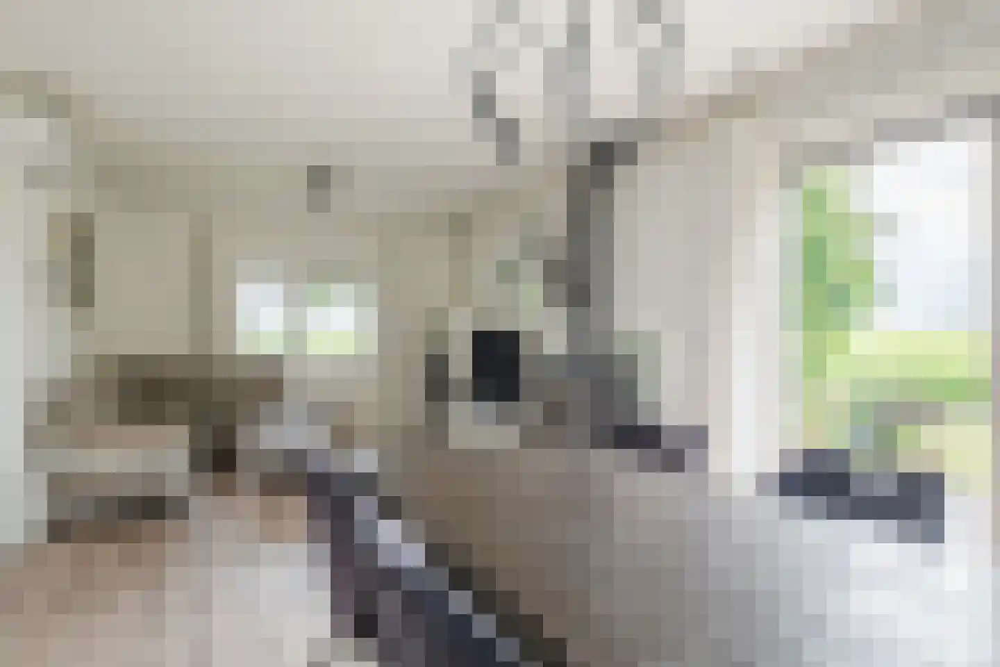 Kerklaan 3 Meedhuizen thumbnail 14