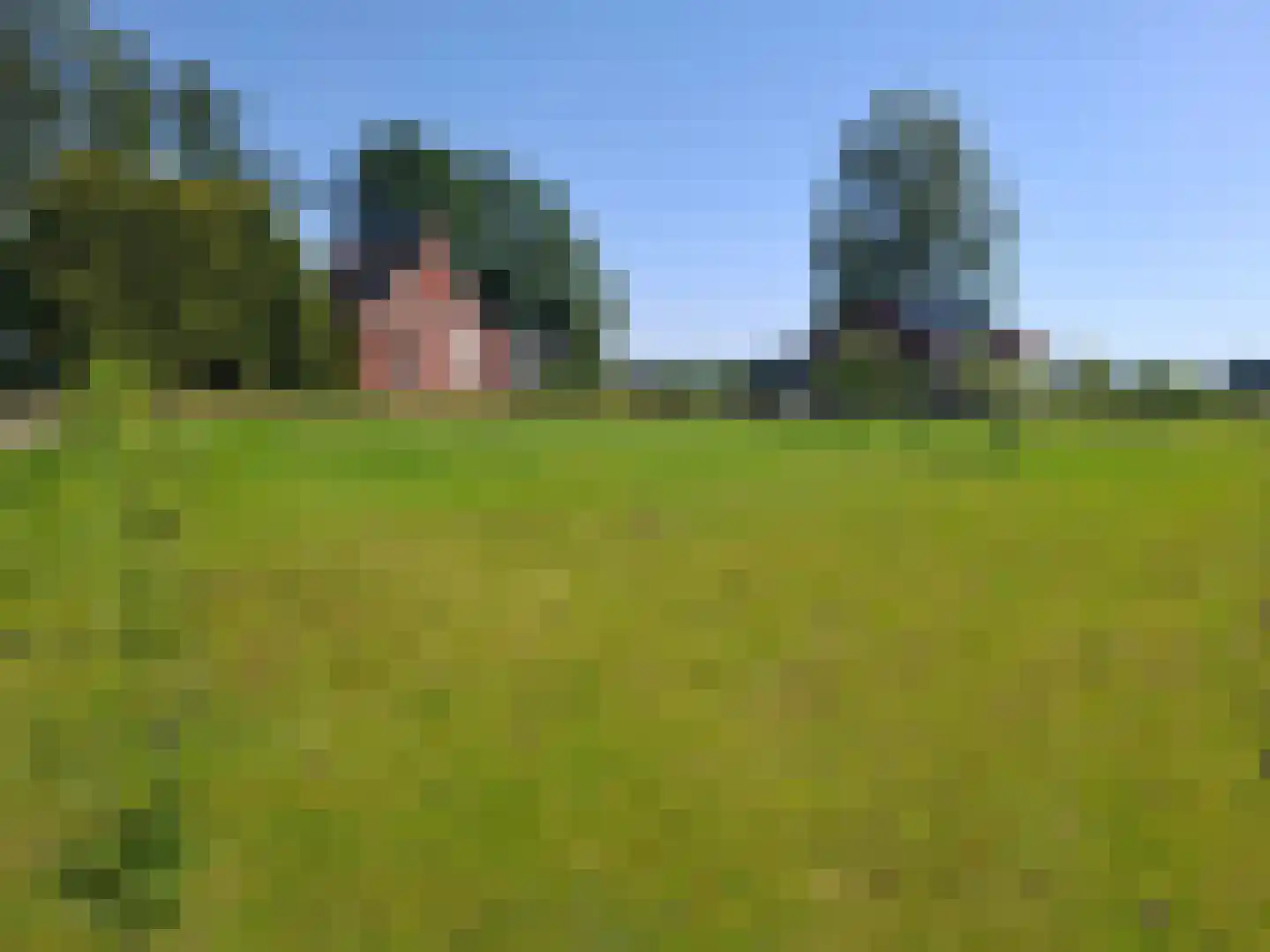 Kerklaan 3 Meedhuizen foto 2
