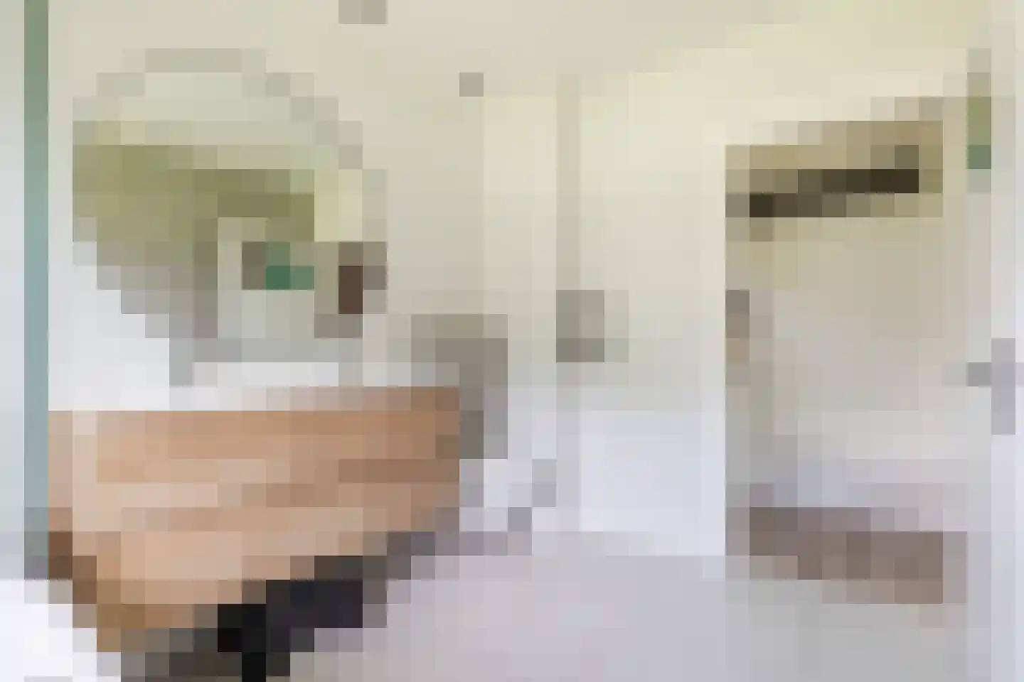 Kerklaan 3 Meedhuizen thumbnail 22