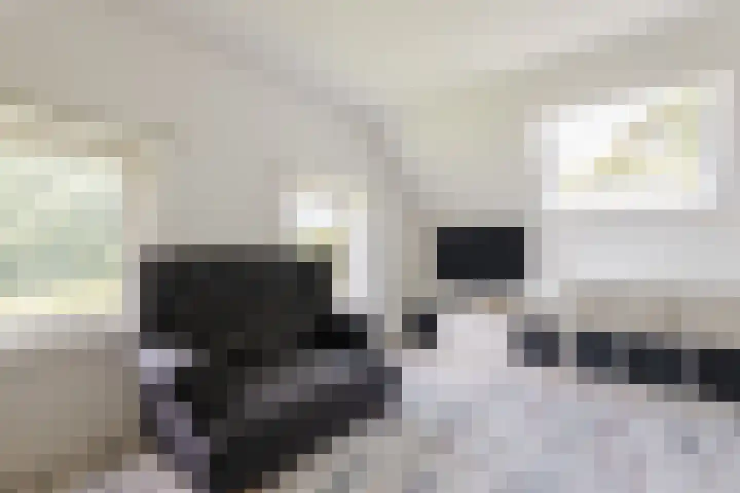 Kerklaan 3 Meedhuizen thumbnail 27