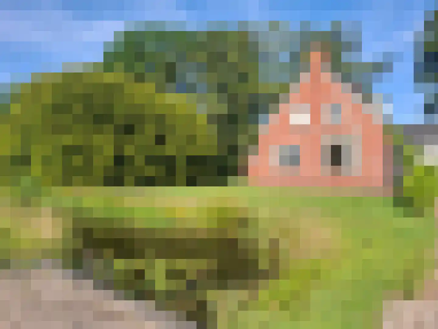Kerklaan 3 Meedhuizen foto 3