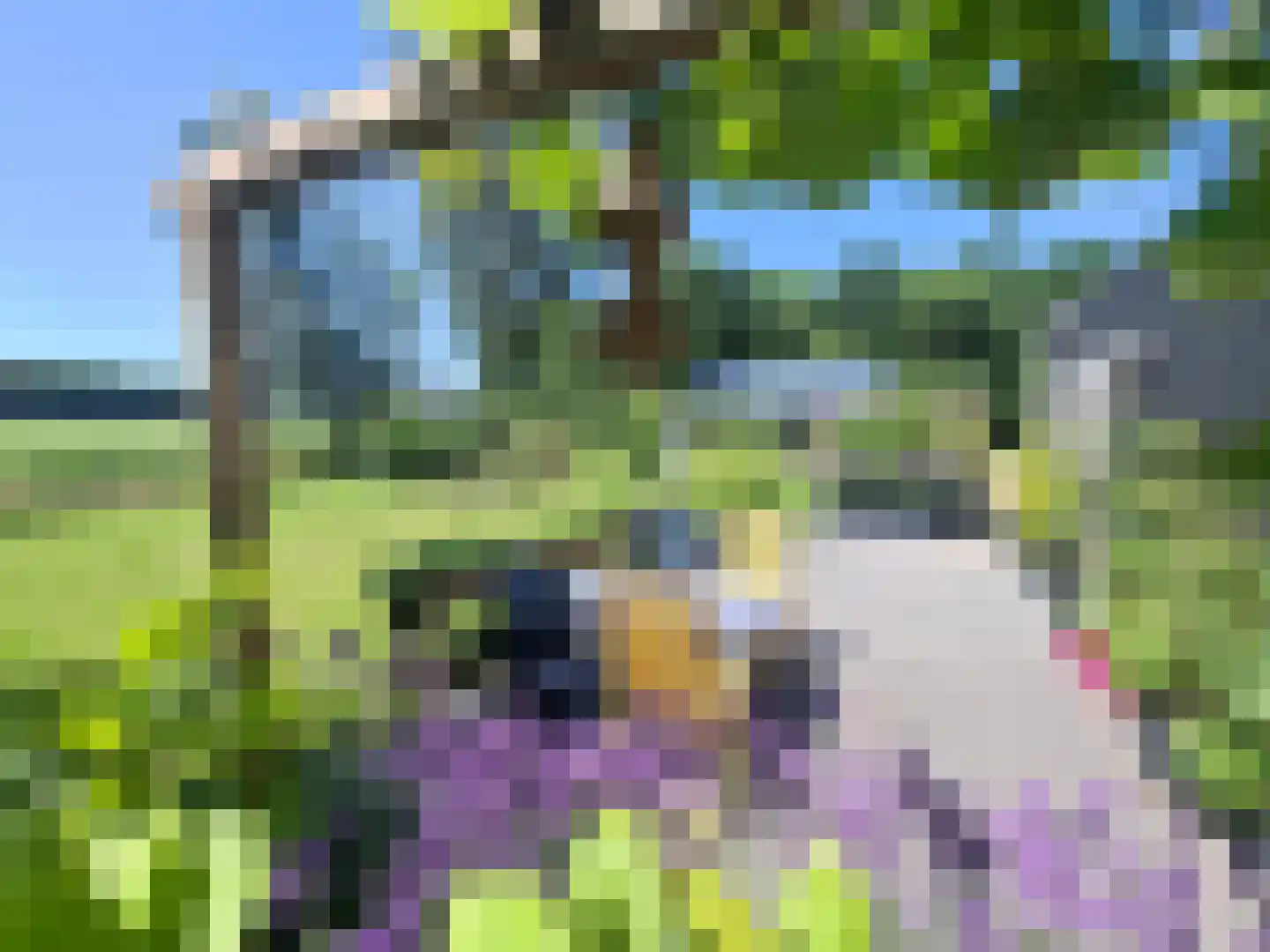 Kerklaan 3 Meedhuizen thumbnail 32