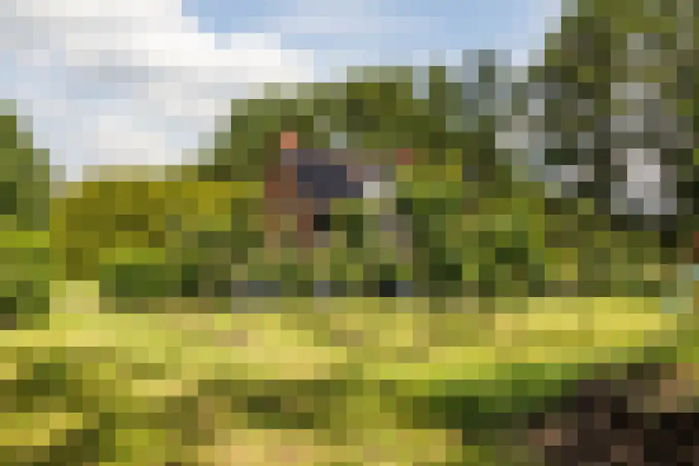 Kerklaan 3 Meedhuizen thumbnail 35