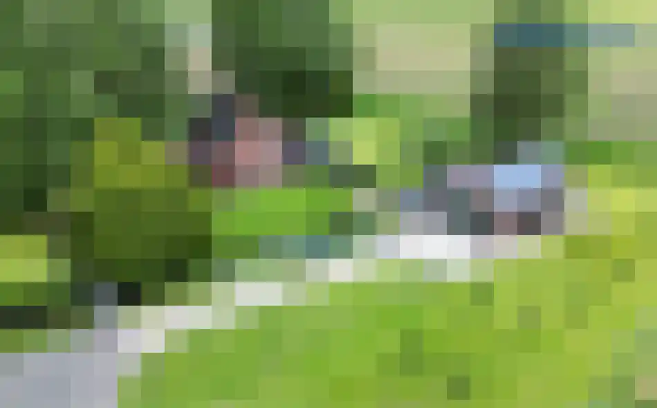 Kerklaan 3 Meedhuizen thumbnail 37