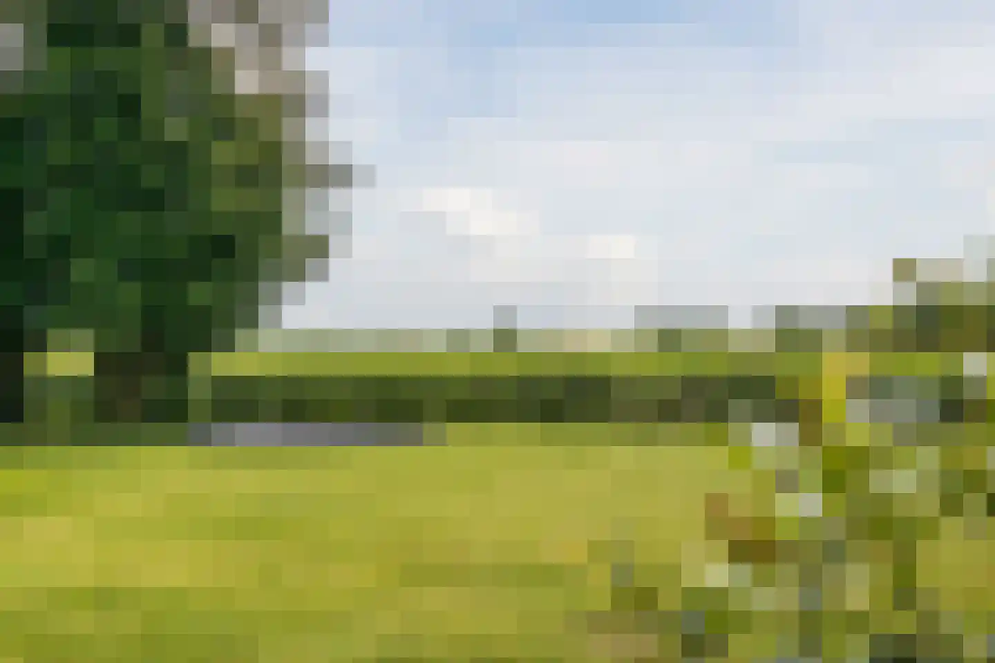 Kerklaan 3 Meedhuizen thumbnail 6