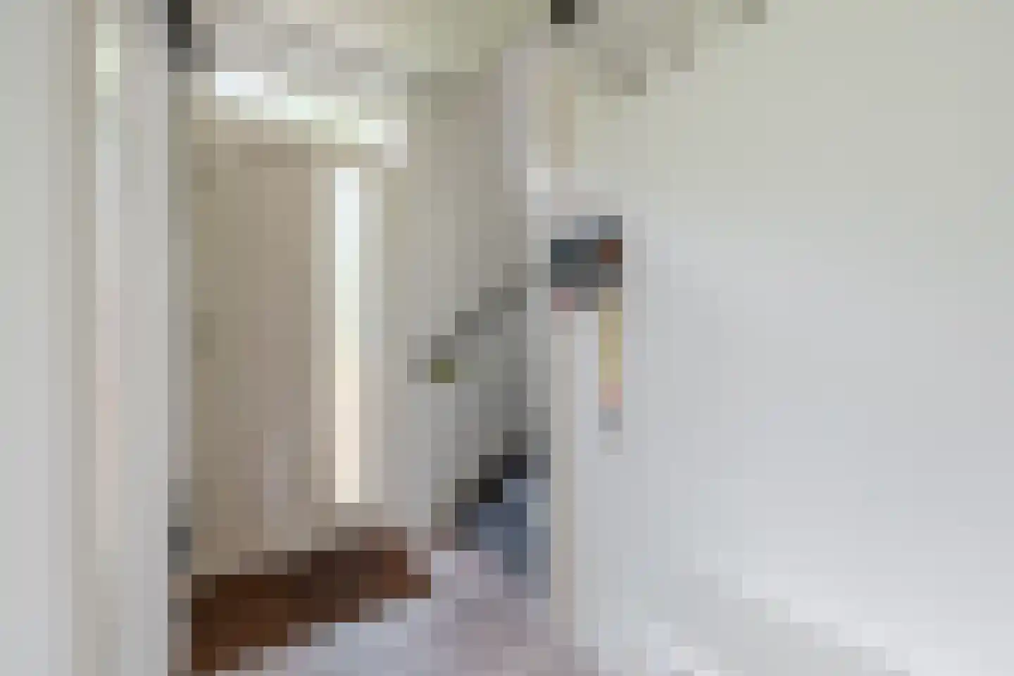 Kerklaan 3 Meedhuizen thumbnail 7