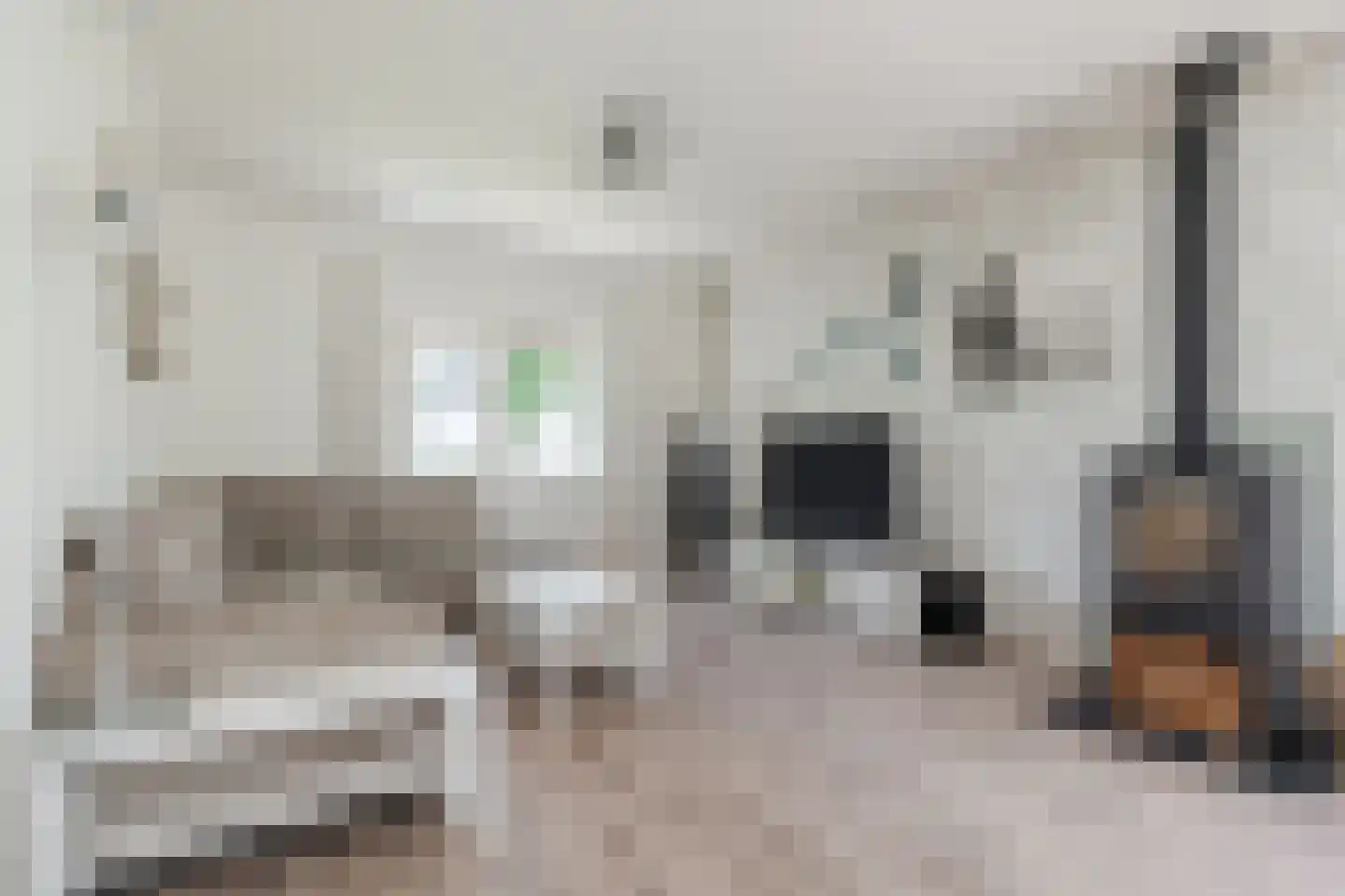 Kerklaan 3 Meedhuizen thumbnail 9