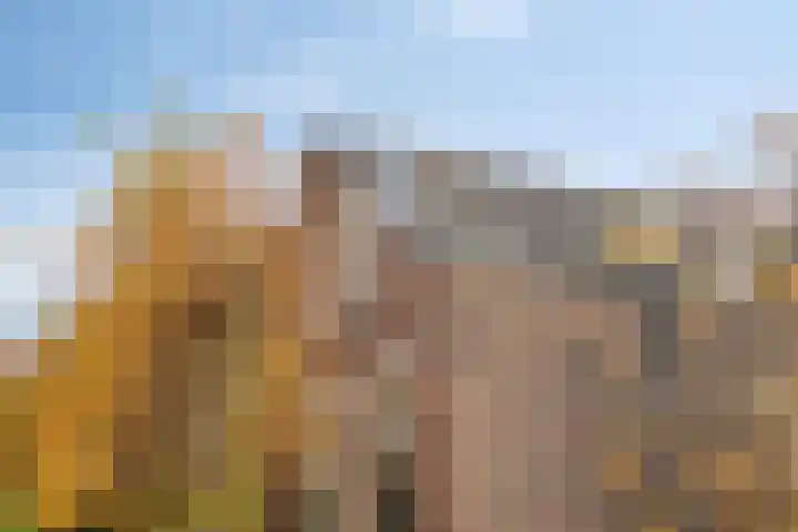 Kerklaan 3 Raamsdonk thumbnail 10