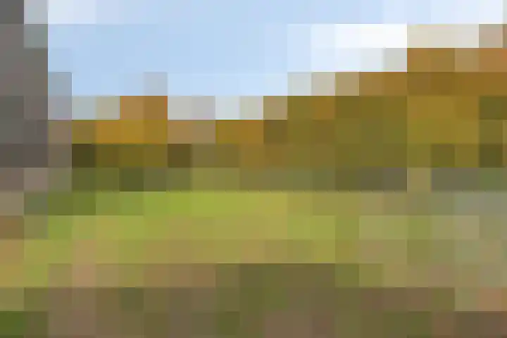 Kerklaan 3 Raamsdonk thumbnail 108