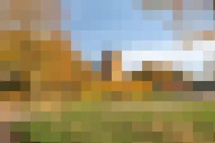 Kerklaan 3 Raamsdonk thumbnail 109
