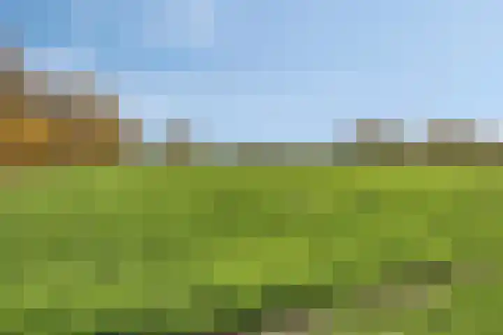 Kerklaan 3 Raamsdonk thumbnail 110