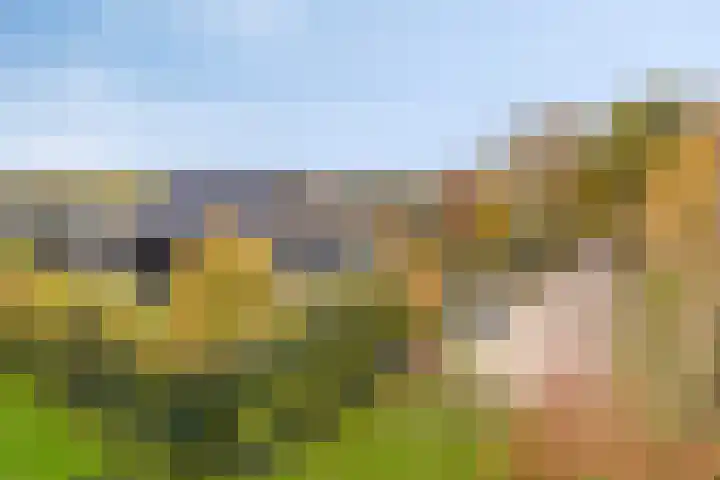 Kerklaan 3 Raamsdonk thumbnail 111