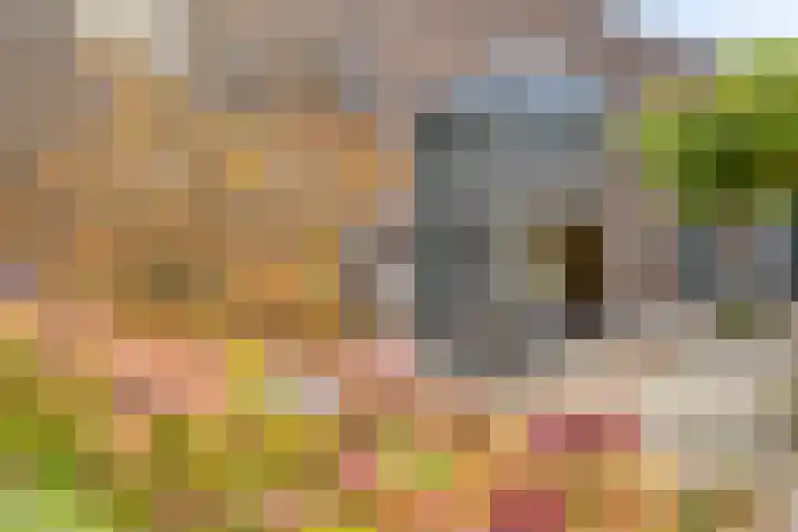 Kerklaan 3 Raamsdonk thumbnail 12