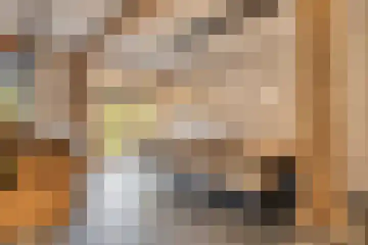 Kerklaan 3 Raamsdonk thumbnail 17