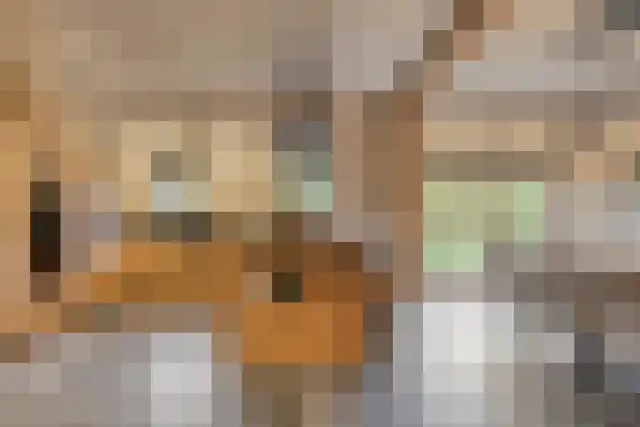 Kerklaan 3 Raamsdonk thumbnail 19