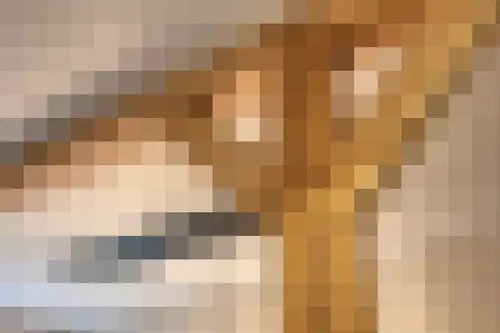 Kerklaan 3 Raamsdonk thumbnail 20