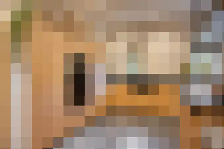 Kerklaan 3 Raamsdonk thumbnail 21