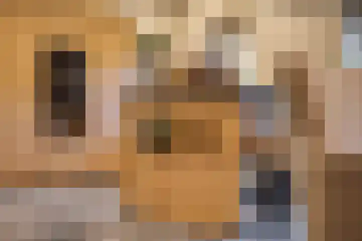 Kerklaan 3 Raamsdonk thumbnail 22