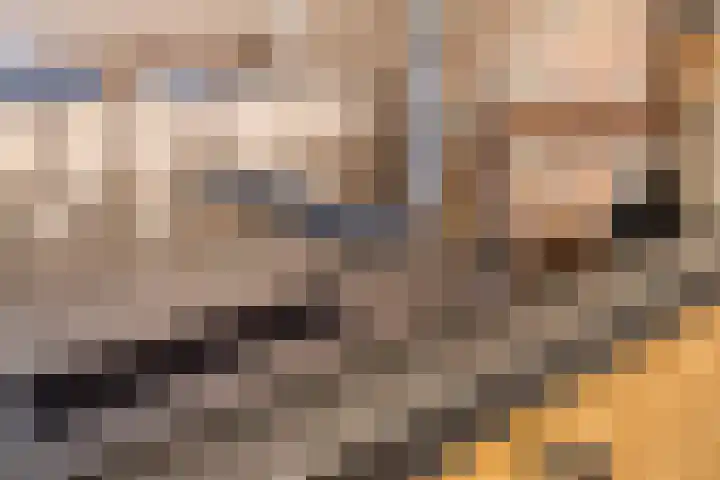 Kerklaan 3 Raamsdonk thumbnail 24