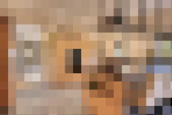 Kerklaan 3 Raamsdonk thumbnail 25