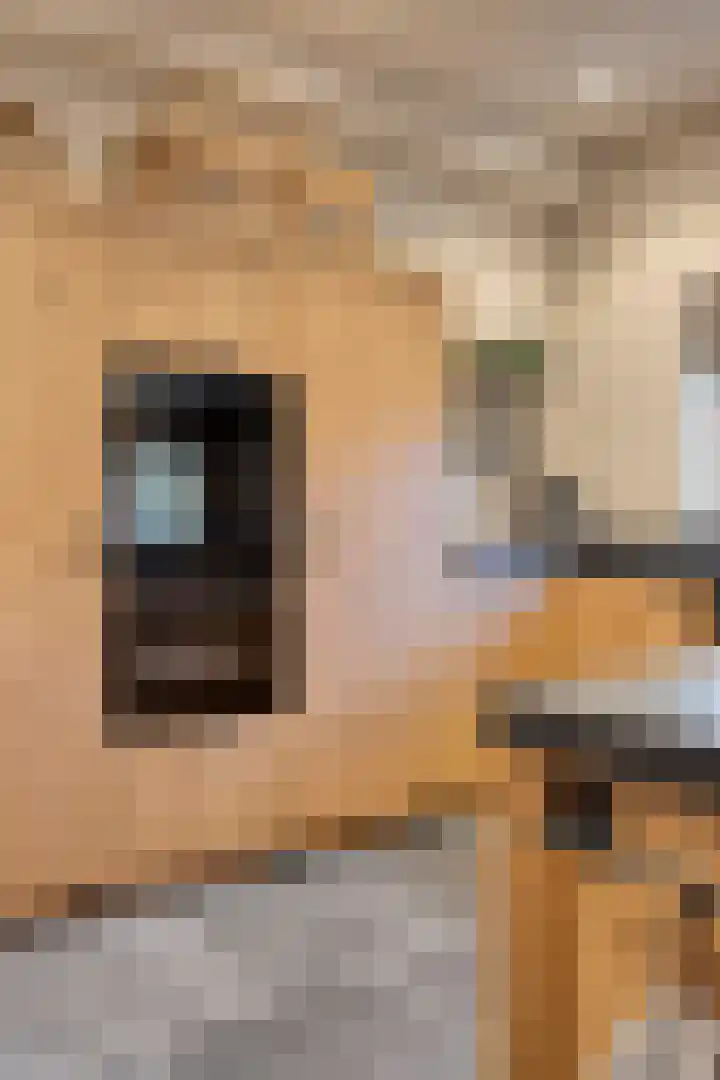 Kerklaan 3 Raamsdonk thumbnail 26