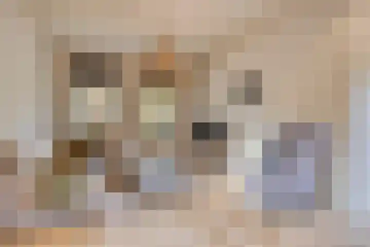 Kerklaan 3 Raamsdonk thumbnail 29