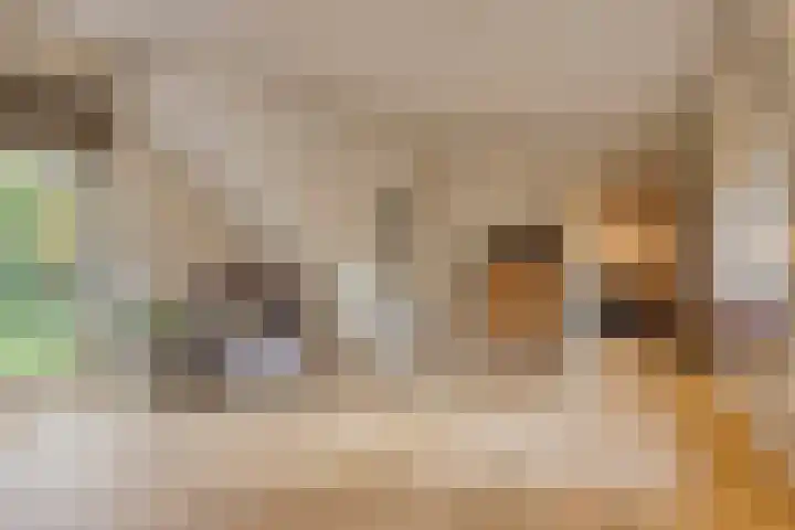 Kerklaan 3 Raamsdonk thumbnail 34
