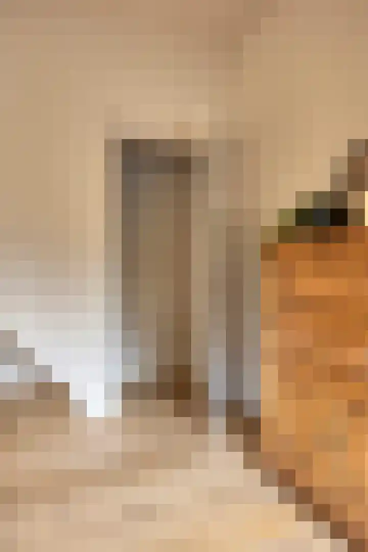 Kerklaan 3 Raamsdonk thumbnail 35