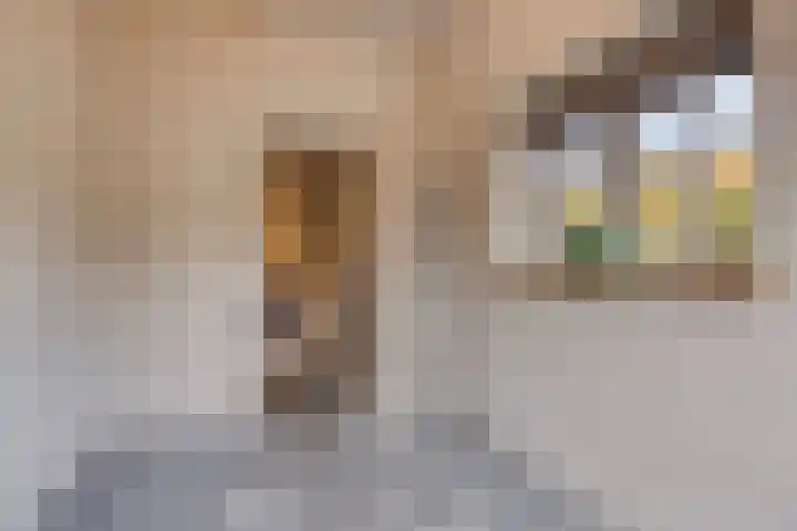 Kerklaan 3 Raamsdonk thumbnail 37