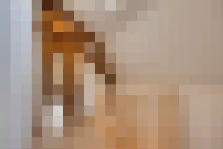 Kerklaan 3 Raamsdonk thumbnail 39