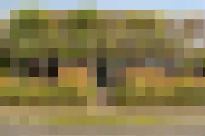 Kerklaan 3 Raamsdonk thumbnail 4