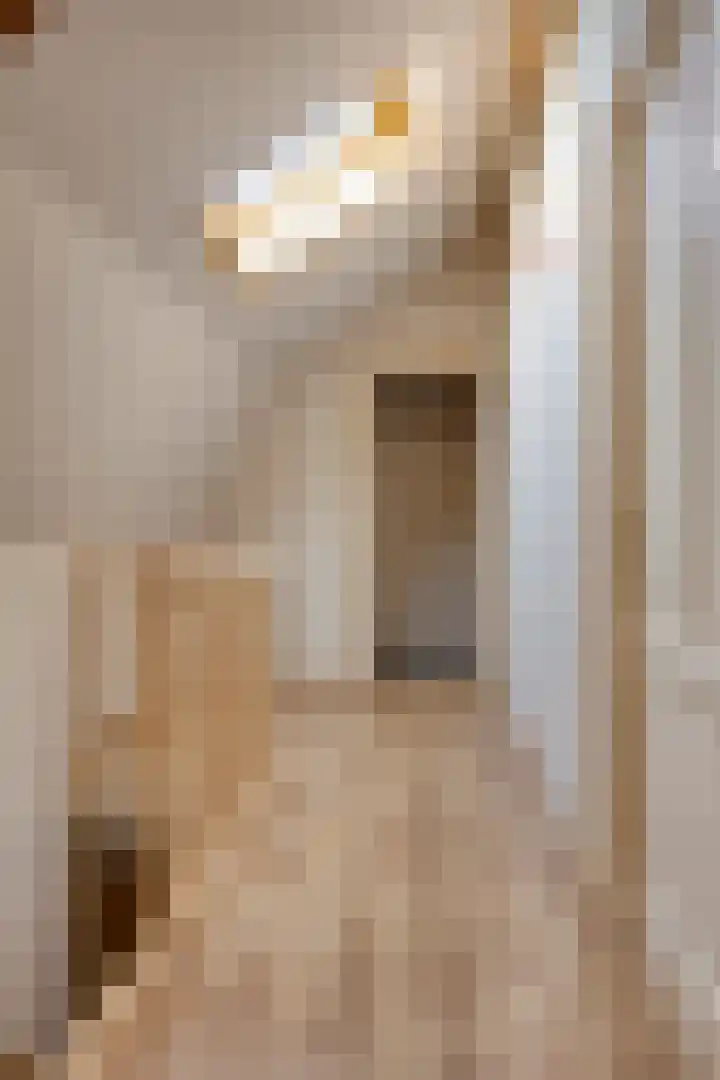 Kerklaan 3 Raamsdonk thumbnail 40