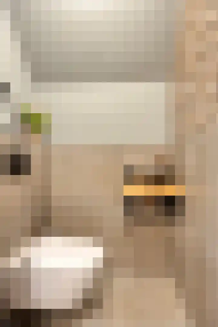 Kerklaan 3 Raamsdonk thumbnail 41
