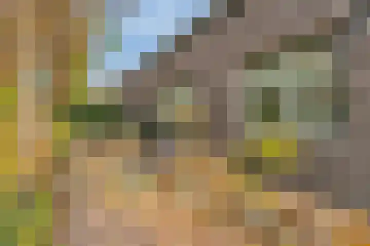 Kerklaan 3 Raamsdonk thumbnail 49