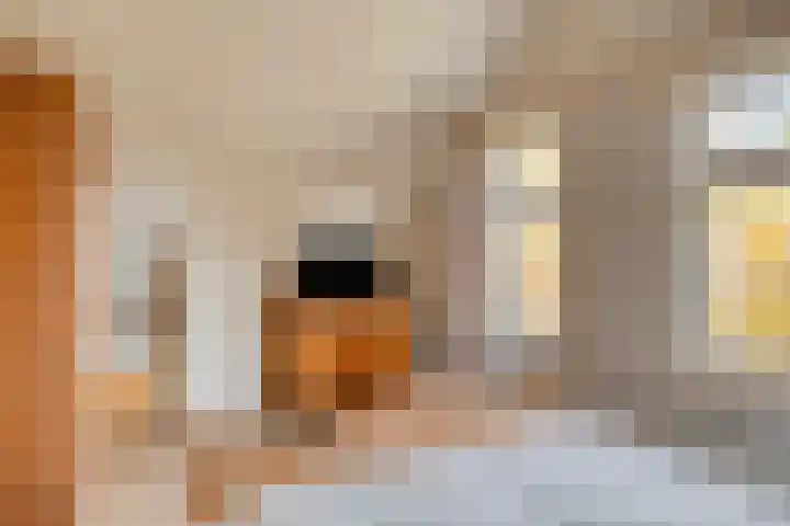 Kerklaan 3 Raamsdonk thumbnail 50