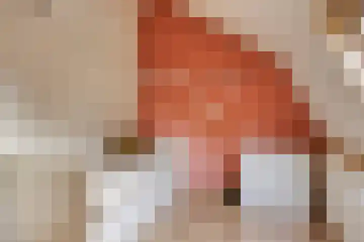 Kerklaan 3 Raamsdonk thumbnail 53