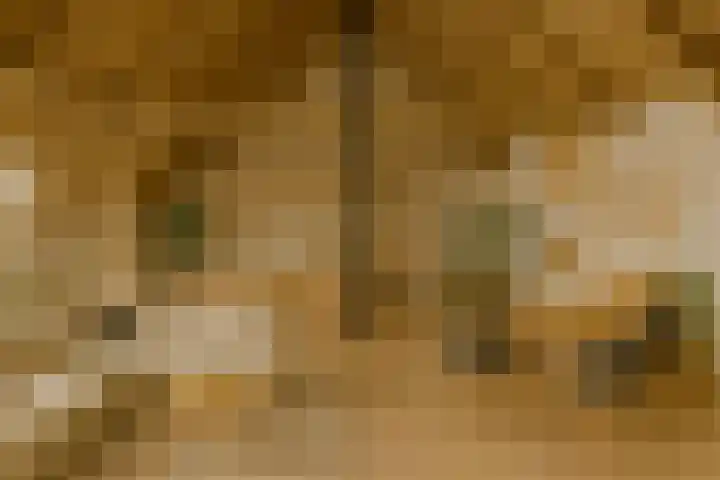 Kerklaan 3 Raamsdonk thumbnail 56