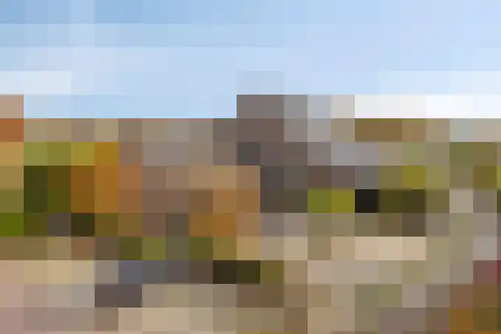 Kerklaan 3 Raamsdonk thumbnail 57