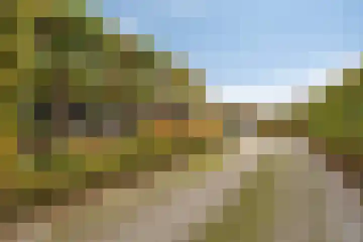 Kerklaan 3 Raamsdonk thumbnail 60