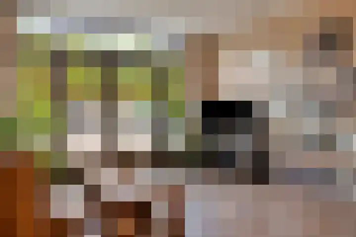 Kerklaan 3 Raamsdonk thumbnail 63