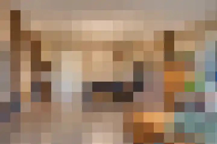 Kerklaan 3 Raamsdonk thumbnail 66