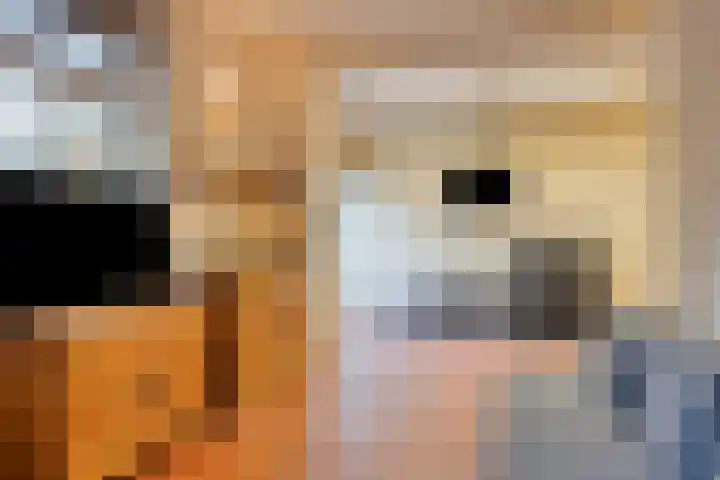Kerklaan 3 Raamsdonk thumbnail 81
