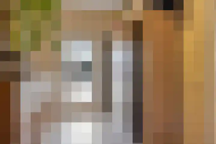 Kerklaan 3 Raamsdonk thumbnail 84