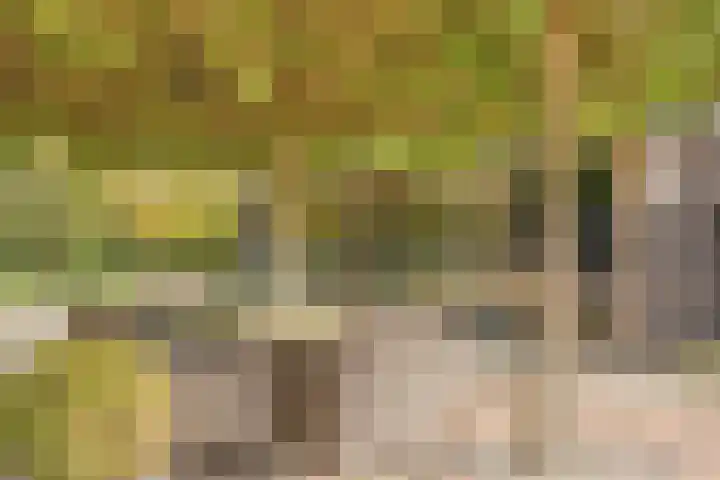 Kerklaan 3 Raamsdonk thumbnail 85