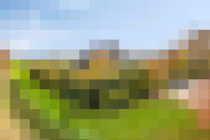 Kerklaan 3 Raamsdonk thumbnail 9