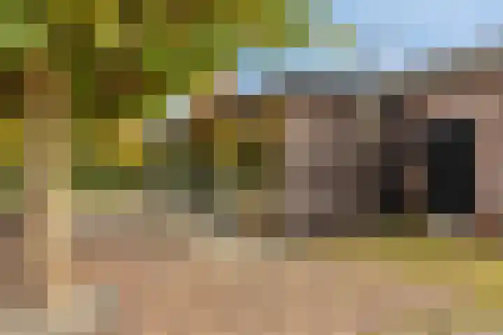 Kerklaan 3 Raamsdonk thumbnail 92