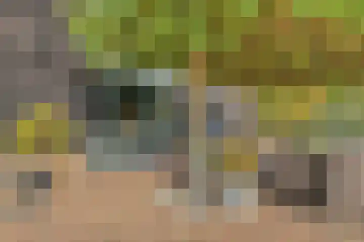 Kerklaan 3 Raamsdonk thumbnail 93
