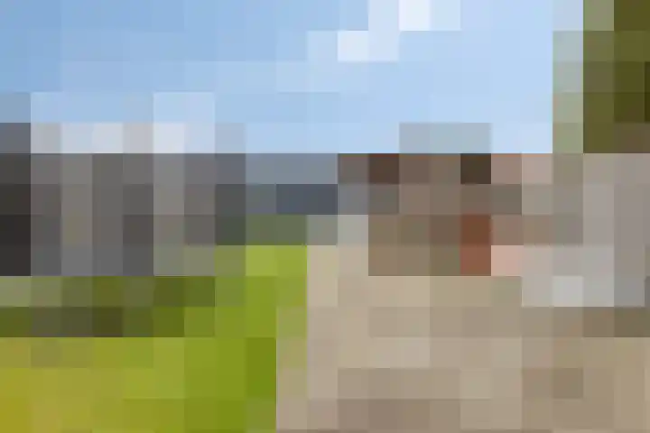 Kerklaan 30 Heinkenszand thumbnail 35